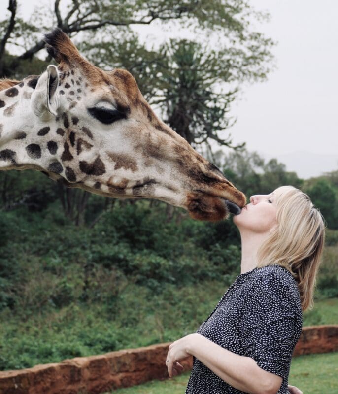 animal giraffe kissing woman